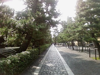 大徳寺境内